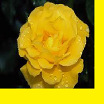 Желтый цвет - пример