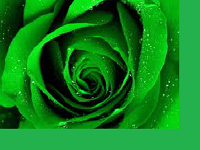 Зеленый цвет - пример